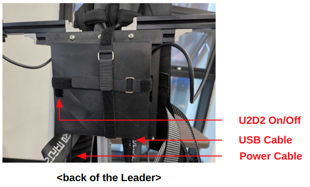 Back of the Leader