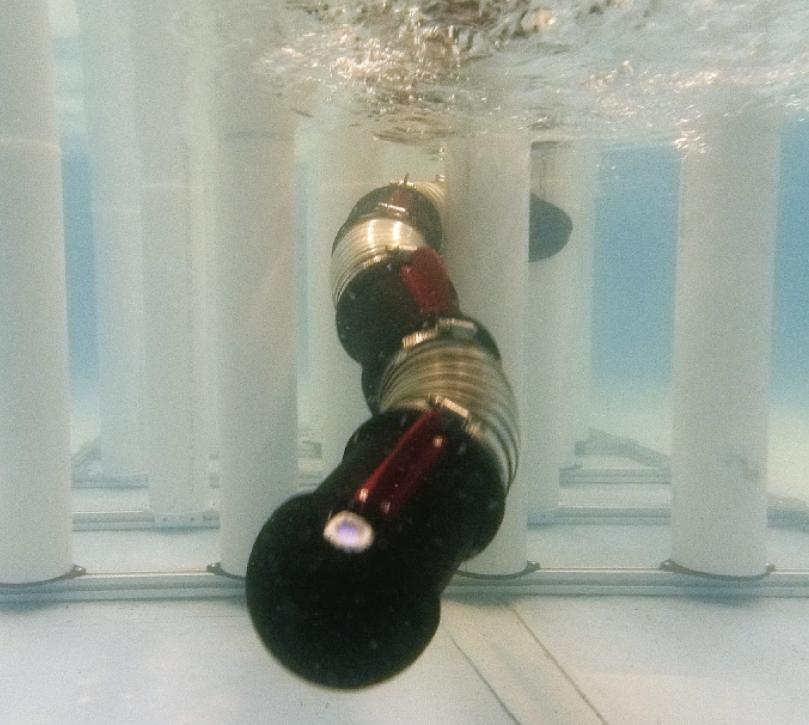 AquaMILR+ Project Image