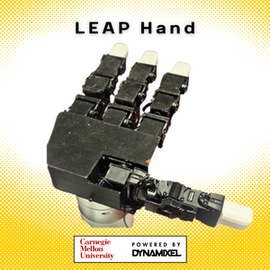LeapHand Project Image