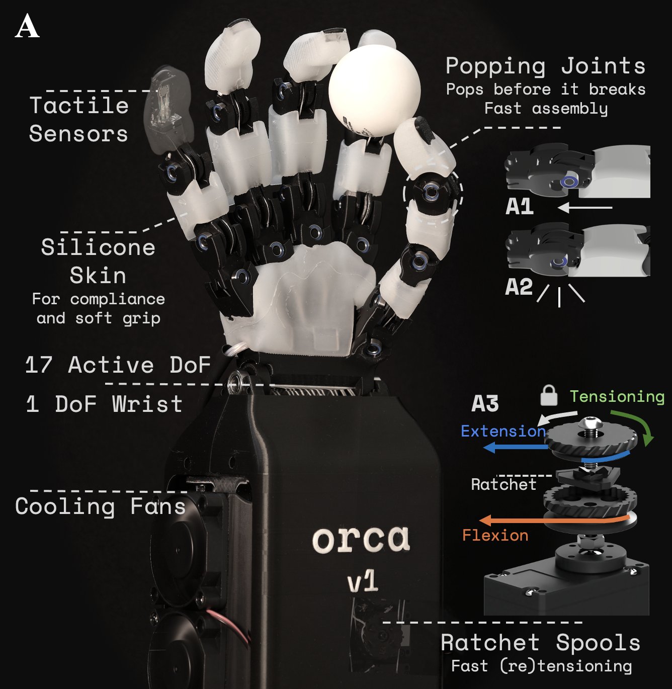 Orca Hand Project Image