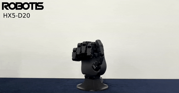 ROBOTIS Hand example motion