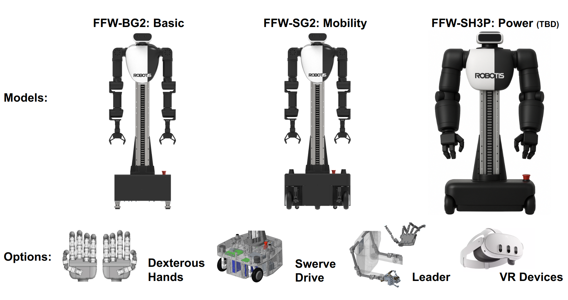 model_lineup